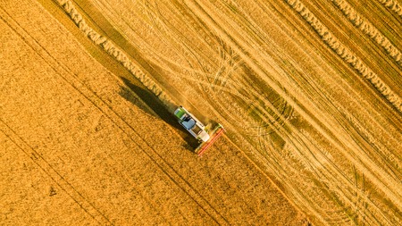 Harvester machine working in field . Combine harvester agriculture machine harvesting golden ripe wheat field. Agriculture. Aerial view. From above.の写真素材