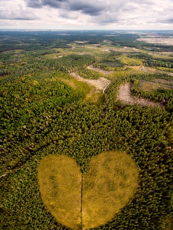 Concept of love to nature. Take care and enjoy the forest. Beautiful picture of lush green coniferous forest and swamp in the form of heart. Aerial view. From above. Picture taken using the copter.の写真素材