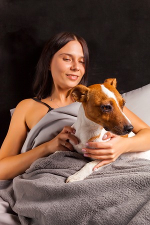 Young beautiful brunette woman plays in bed with her dog. Jack Russell Terrier climbed into bed with her owner in the morning.の写真素材