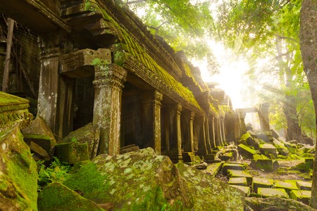 Ancient Ta Prohm Temple in the morning sun rays, Angkor, Cambodia. Ruin