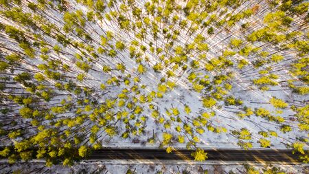 Aerial view of forest in the winter. Landscape
