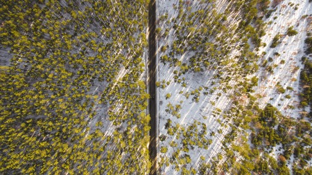 Aerial view of forest in the winter. Landscapeの写真素材