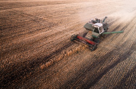 Harvester working in field and mows wheat. Ukraine. Aerial view.の写真素材