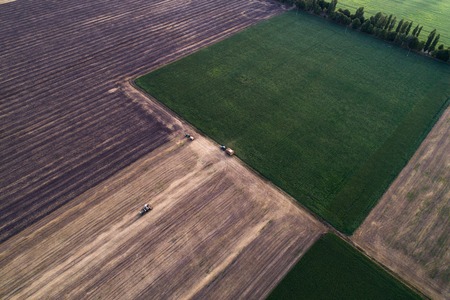 Aerial view of field processed harvester. Landscaping pattern from mown fields and green freshly plantedの写真素材