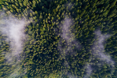 Aerial view of Carpathian mountains. Ukraine, Europe. Concept ecology protection. Top viewの写真素材