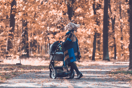 A young mother with a stroller walks through the autumn parkの写真素材