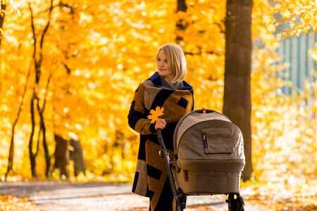 A young mother with a stroller walks through the autumn parkの写真素材