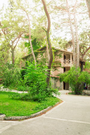 Small house with a birdhouse on the wall in a pine parkの写真素材
