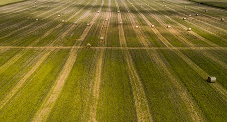 Aerial view of a green field with haystacksの写真素材