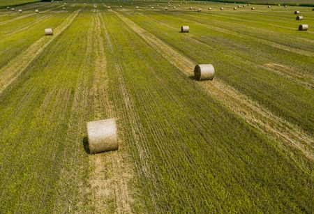 Aerial view of a green field with haystacks