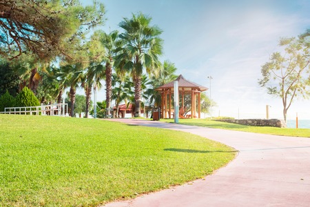 A footpath with palm trees and a gazebo along the seaの写真素材