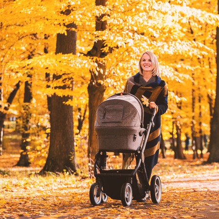 A young mother with a stroller walks through the autumn parkの写真素材