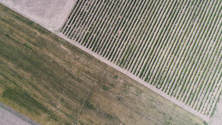 Aerial view of the plowed field