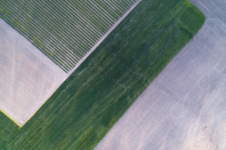 Aerial view of a field cut into different parts. Natural ornament