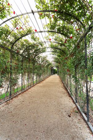 Schonbrunn Palace in Vienna, Austriaのeditorial素材