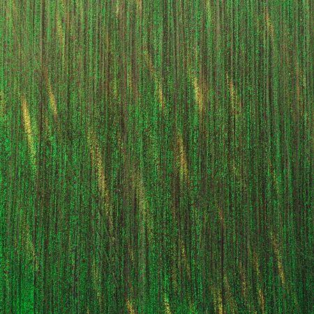 Aerial view of the field with autumn harvest.の写真素材