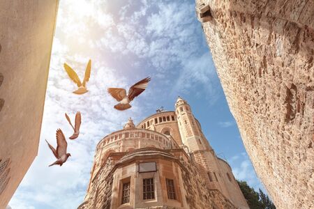 View of the top of the Franciscan Monastery in Jerusalem or Dormishen Abbey with flying doves, Israelの素材 [FY310138470316]