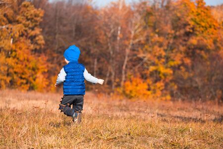Toddler boy in a blue hat and blue vest against a background of bright orange forestの写真素材