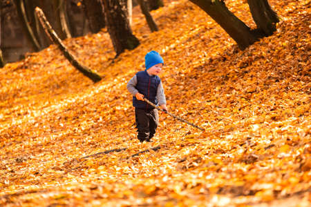 The child is played in the autumn foliageの写真素材