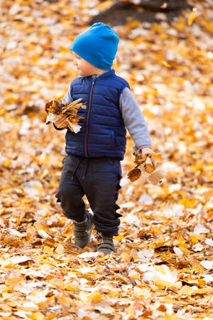The child is played in the autumn foliageの写真素材