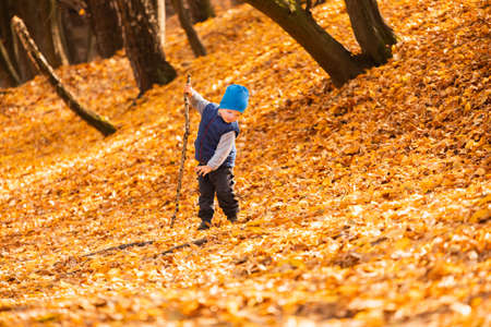 The child is played in the autumn foliageの写真素材