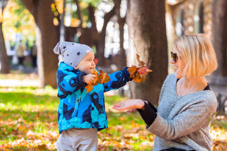 Mother and son are played in the fallen leaves for a walk in the city parkの写真素材