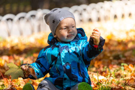 A little baby boy playing with colorful fallen leaves in the park in autumn.の写真素材