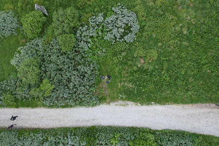 Urban park with meadow, trees and paths. Top viewの写真素材