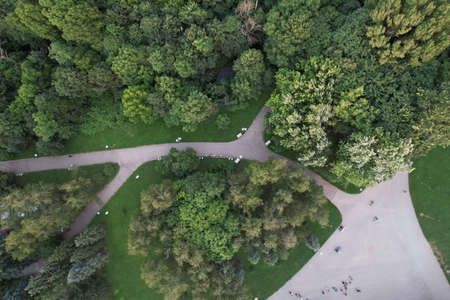 Urban park with meadow, trees and paths. Top viewの写真素材