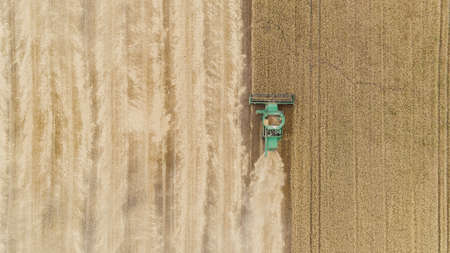 Aerial view combine harvester harvesting on the field