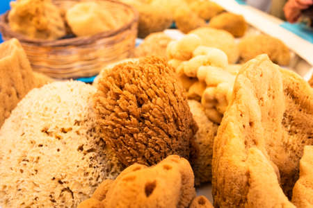 Natural marine sponge for washing in the shower.の写真素材