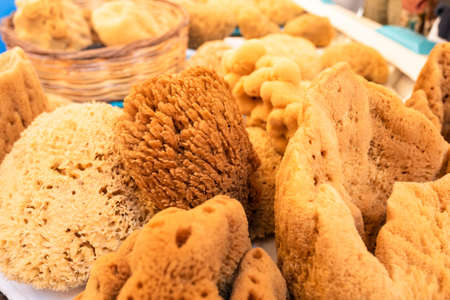Natural marine sponge for washing in the shower.の写真素材