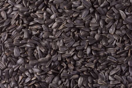horizontal image of sunflower seeds