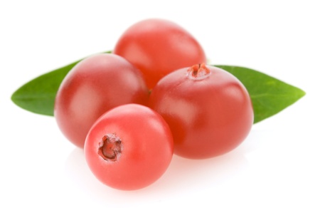 ripe cranberry isolated on white backgroundの写真素材