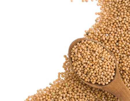 mustard spices and spoon isolated on white backgroundの写真素材