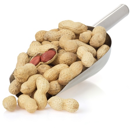 nuts peanuts isolated on white background