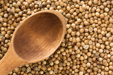 Coriander spices and spoon as  backgroundの写真素材