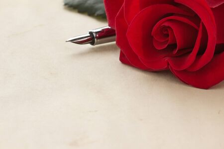 red rose on parchment backgroundの写真素材