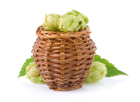 hop in basket isolated on white background