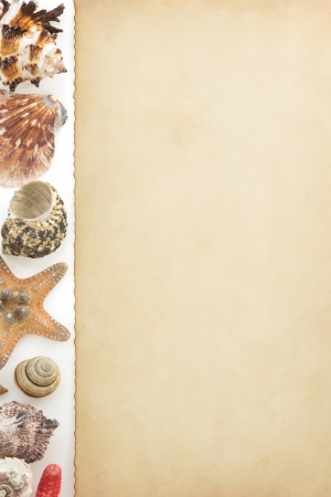 aged paper and sea concept isolated on whiteの写真素材
