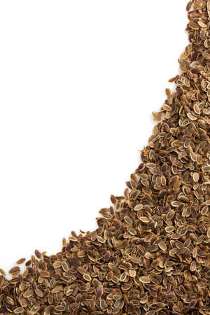 dried dill seeds isolated on white backgroundの写真素材