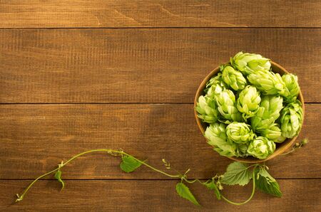 hop cones on wooden backgroundの写真素材