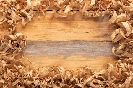 Wood shavings on table background. Wooden shaving at old plank board texture