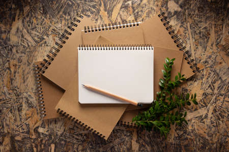 Notebook and branch with leaf at chipboard plywood background texture. Recycling concept or creative ideaの写真素材