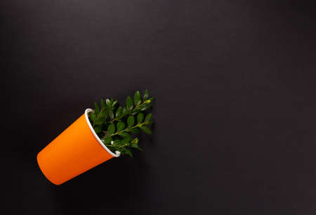 Paper cup and branch with leaf at black paper background texture. Recycling concept or creative ideaの写真素材