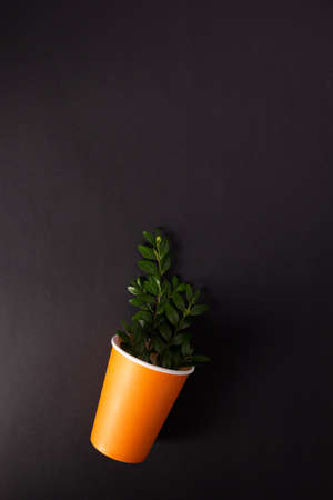 Paper cup and branch with leaf at black paper background texture. Recycling concept or creative ideaの写真素材