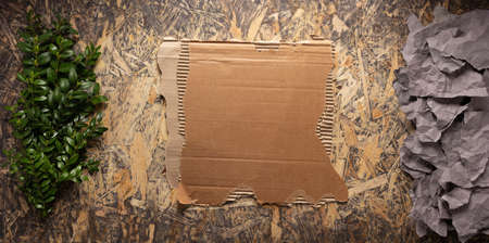 Branch with leaf on chipboard plywood background texture. Ecology concept or recycle concept with...