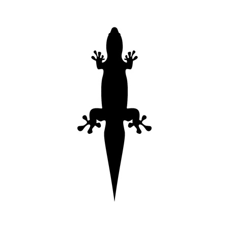 Lizard  it is the black color icon .のイラスト素材