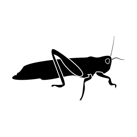 Grasshoper it is black color icon .のイラスト素材