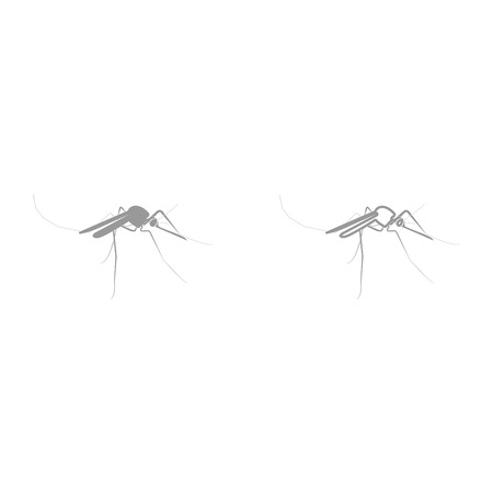Mosquito it is black icon . Simple style.のイラスト素材